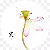 水彩画插图-水彩画莲花-空若网 水彩画插图-水彩画莲花-空若网