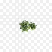 Ҭ������-������