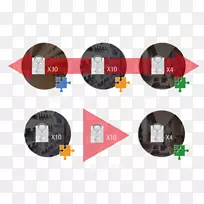 ���������ŵ�-������