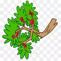 开花植物茎、卡通叶、剪贴画-叶-空若网 开花植物茎、卡通叶、剪贴画-叶-空若网
