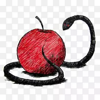 水果刮伤猫-空若网 水果刮伤猫-空若网