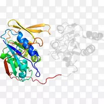 ƽ������ߵ��������-������