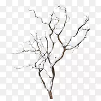 冬树-空若网 冬树-空若网