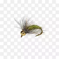 假蝇昆虫人工飞钓幼虫-昆虫-空若网 假蝇昆虫人工飞钓幼虫-昆虫-空若网