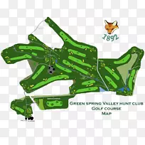 蛙绿蛙-空若网 蛙绿蛙-空若网