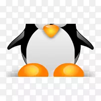 Linux:终极初学者指南!安装linux内核操作系统-空若网 Linux:终极初学者指南!安装linux内核操作系统-空若网