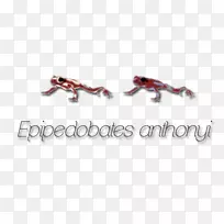 标识体珠宝字体-珠宝-空若网 标识体珠宝字体-珠宝-空若网