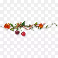 蜂鸟画家艺术.樱桃装饰材料-空若网 蜂鸟画家艺术.樱桃装饰材料-空若网