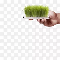 ��-���-������