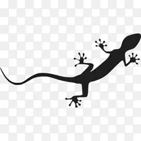 奥迪A4奥迪四轮概念车奥迪a5奥迪四吨运动-奥迪-空若网 奥迪A4奥迪四轮概念车奥迪a5奥迪四吨运动-奥迪-空若网