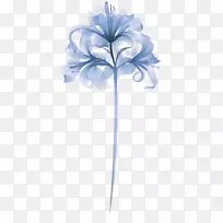 花花瓣-空若网 花花瓣-空若网