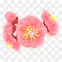 博客联盟营销AdSense-88-空若网 博客联盟营销AdSense-88-空若网