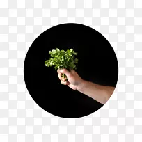 乐理1920年厨师餐厅完美餐厅美食项目-空若网 乐理1920年厨师餐厅完美餐厅美食项目-空若网