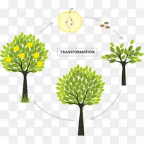 ֦��������ֲ��-������