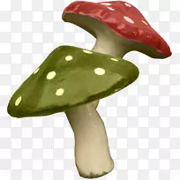 Ģ��-Ģ���������-������