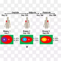 威斯康星大学-麦迪逊癌症氟脱氧葡萄糖研究科学-统计推断-空若网 威斯康星大学-麦迪逊癌症氟脱氧葡萄糖研究科学-统计推断-空若网