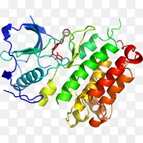 蔬菜有机体系列剪贴画-蔬菜-空若网 蔬菜有机体系列剪贴画-蔬菜-空若网