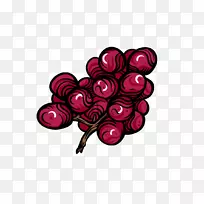 葡萄果实葡萄-葡萄品种-空若网 葡萄果实葡萄-葡萄品种-空若网