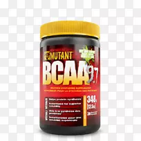 支链氨基酸膳食补充剂肌肉突变体-空若网 支链氨基酸膳食补充剂肌肉突变体-空若网