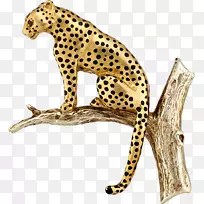 ��½����������ʨ-�Ա�-������