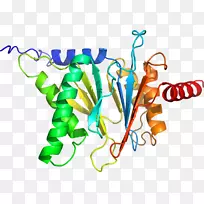 ƽ������ߵ��������-������