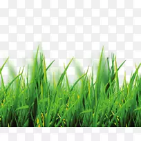 Èí¼þÃâ·ÑÀ²Ý²ÄÁÏ-¿ÕÈôÍø Èí¼þÃâ·ÑÀ²Ý²ÄÁÏ-¿ÕÈôÍø