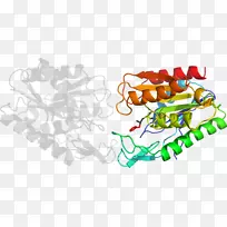 平面设计有机体剪贴画设计-空若网 平面设计有机体剪贴画设计-空若网