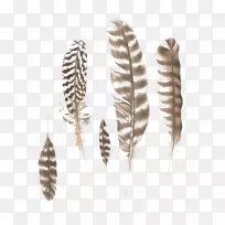 羽毛创意羽毛图案材料-空若网 羽毛创意羽毛图案材料-空若网