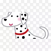 达尔马提亚小狗波士顿猎犬培育非体育团体-达马提亚犬-空若网 达尔马提亚小狗波士顿猎犬培育非体育团体-达马提亚犬-空若网