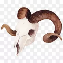 羊水彩画剪贴画水彩画羊头-空若网 羊水彩画剪贴画水彩画羊头-空若网