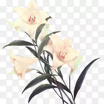 花卉设计剪花剪贴画-空若网 花卉设计剪花剪贴画-空若网