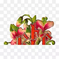 花卉设计切花植物茎花瓣花-空若网 花卉设计切花植物茎花瓣花-空若网