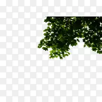 ��ҵ����������-ҵ��-������