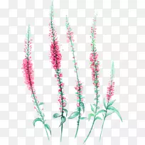 英国薰衣草薄荷精油-空若网 英国薰衣草薄荷精油-空若网