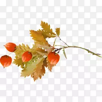 十月秋天八月-秋天-空若网 十月秋天八月-秋天-空若网