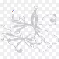 白色手指夹艺术设计-空若网 白色手指夹艺术设计-空若网