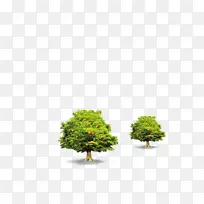 ƻ������-������