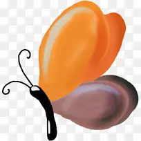 蝴蝶昆虫动画剪贴画-蝴蝶-空若网 蝴蝶昆虫动画剪贴画-蝴蝶-空若网