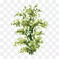 ˮ�ʻ���ľ����ͼ-������-������