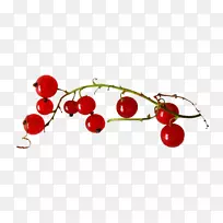 �������ݮӣ�Һ�-������