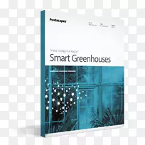 ���Ҳ�����ʪ��ý�岣��-������