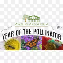 ë���׵ĺ�������ľ�����棬������������-����-������