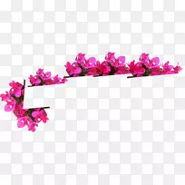 花卉设计切花花瓣花-空若网 花卉设计切花花瓣花-空若网