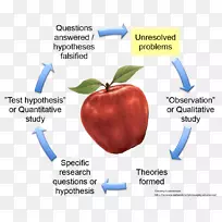 苹果文字字体-科学哲学-空若网 苹果文字字体-科学哲学-空若网