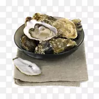 牡蛎蚌碗壳碗-空若网 牡蛎蚌碗壳碗-空若网