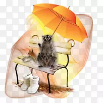 ÖÐÑ벩¿ÍÇï»-¿ÕÈôÍø ÖÐÑ벩¿ÍÇï»-¿ÕÈôÍø