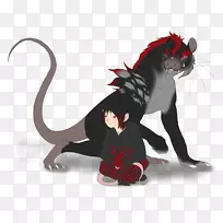 猫科动物-猫-空若网 猫科动物-猫-空若网