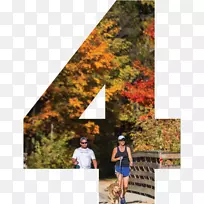 迪尔斯维尔旅游杜布克(爱荷华州欢迎中心)树木游憩-树-空若网 迪尔斯维尔旅游杜布克(爱荷华州欢迎中心)树木游憩-树-空若网