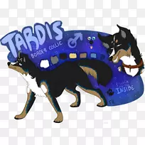 犬种鼻尾犬-空若网 犬种鼻尾犬-空若网