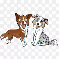 澳大利亚牧羊犬t恤边境牧羊犬胡须小狗t恤-空若网 澳大利亚牧羊犬t恤边境牧羊犬胡须小狗t恤-空若网